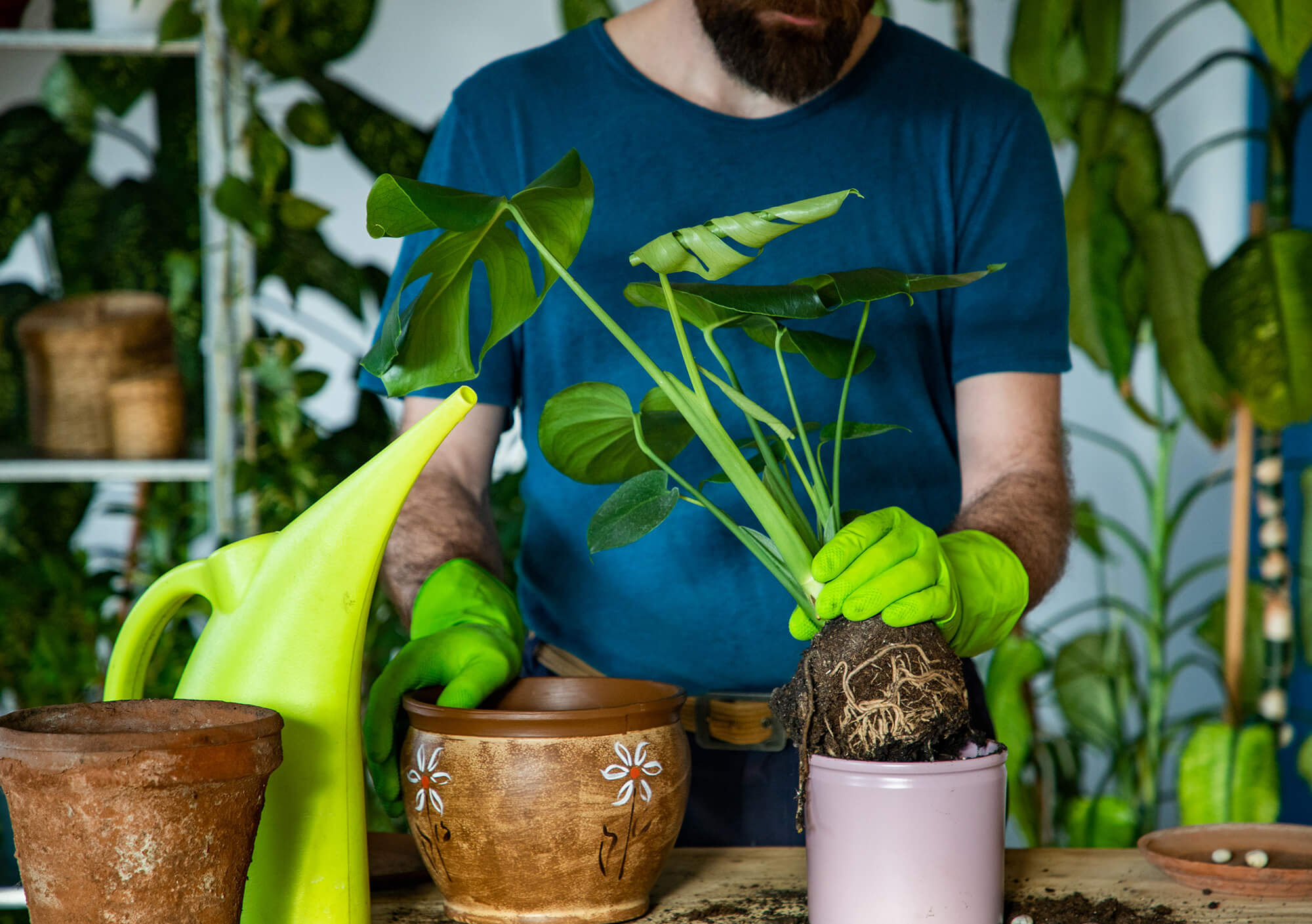 Man repotting plants