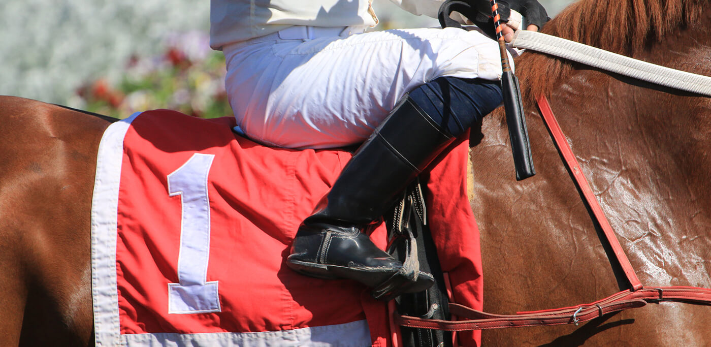 Horse with red number 1