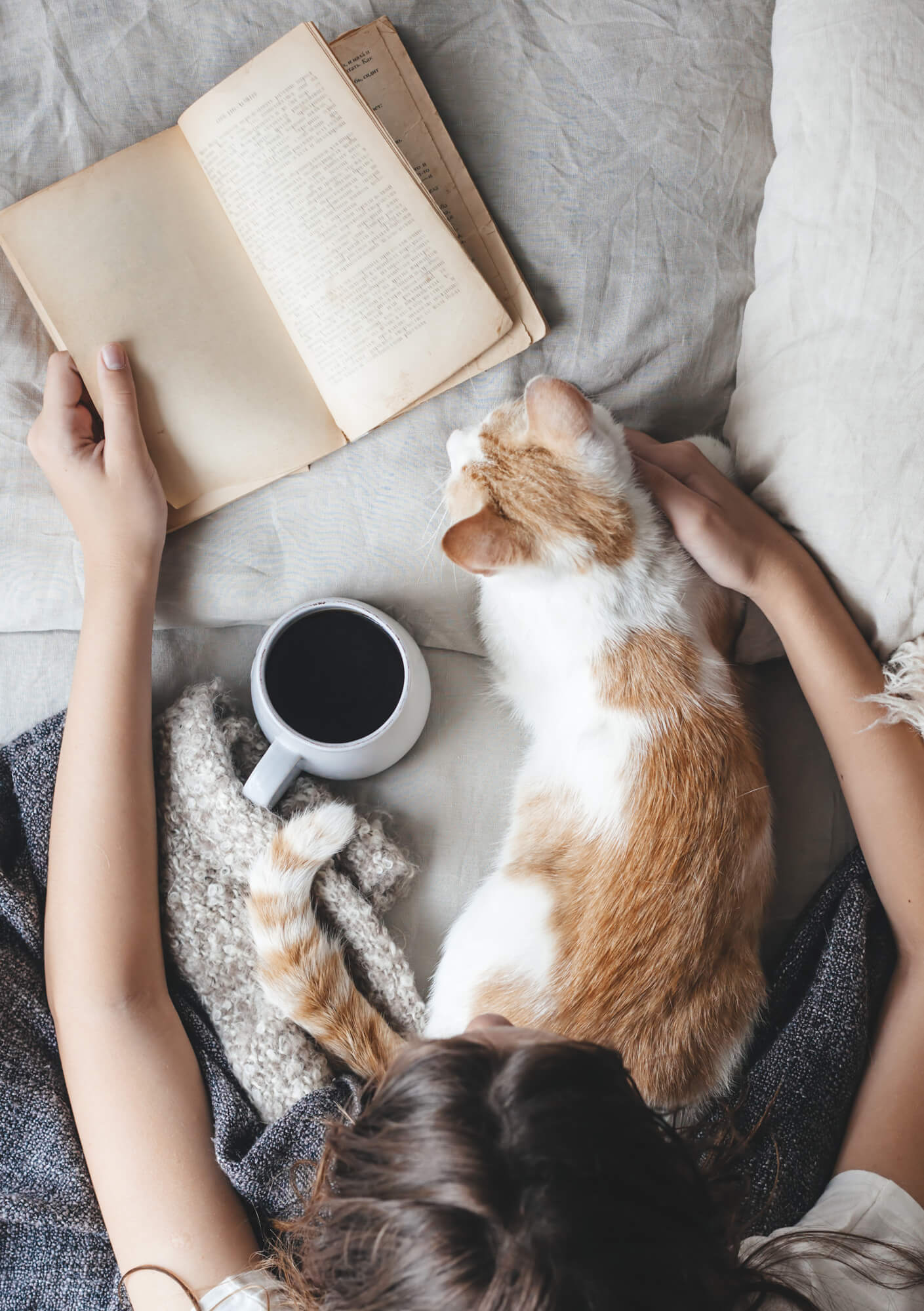 Reading with a coffee and cat