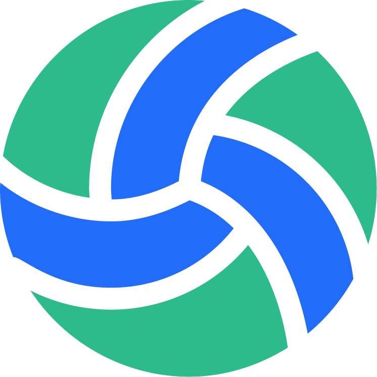 Volleyball icon